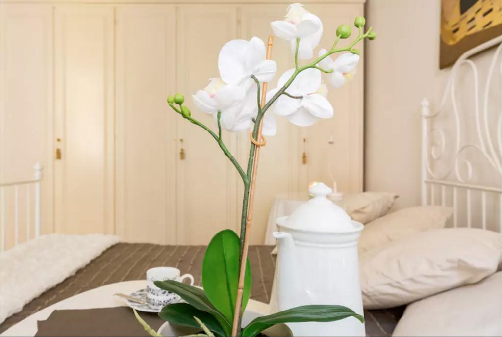 Via Laurina 40 Apartment Рим Экстерьер фото